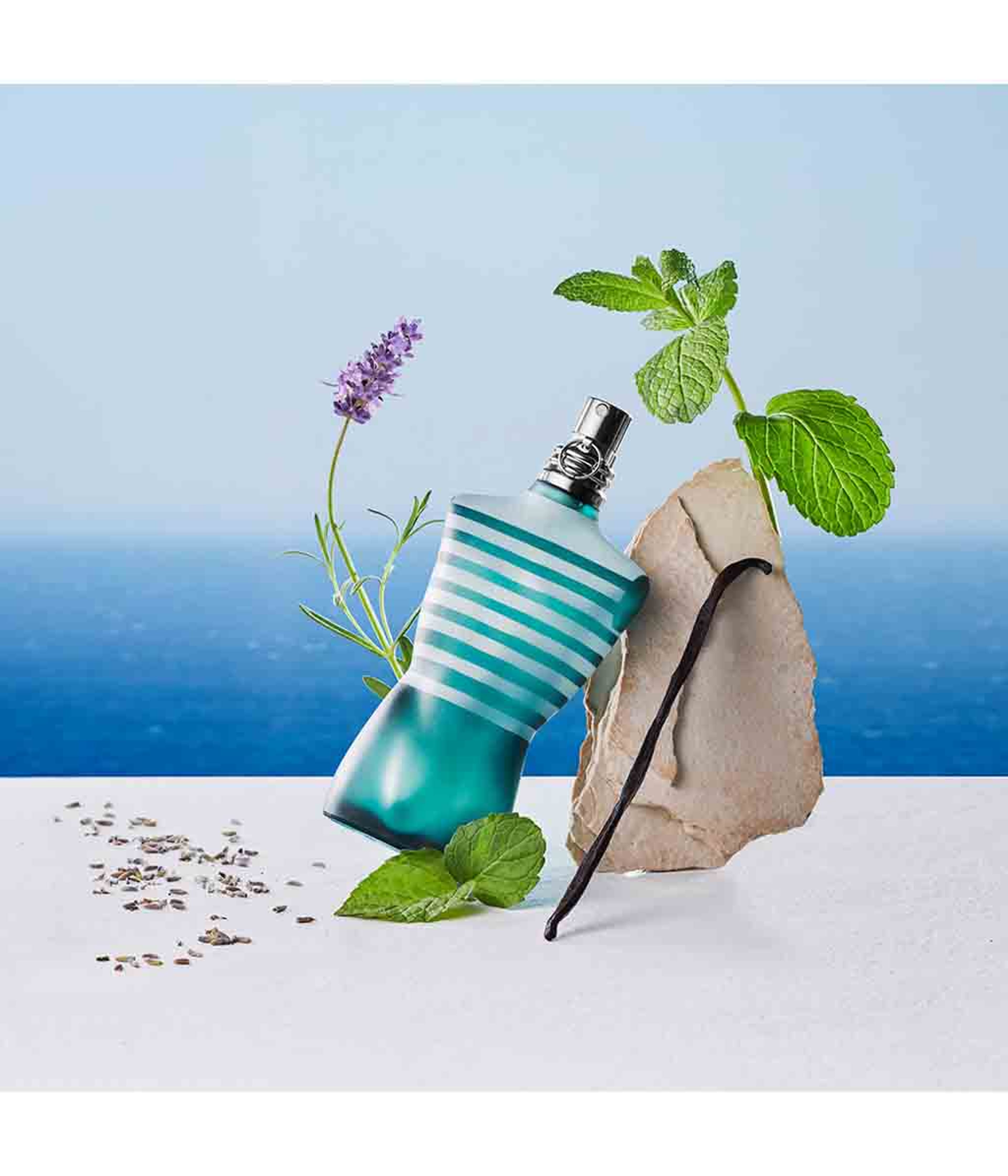 Produktbild 3 von 6, Jean Paul Gaultier Le Male Eau de Toilette