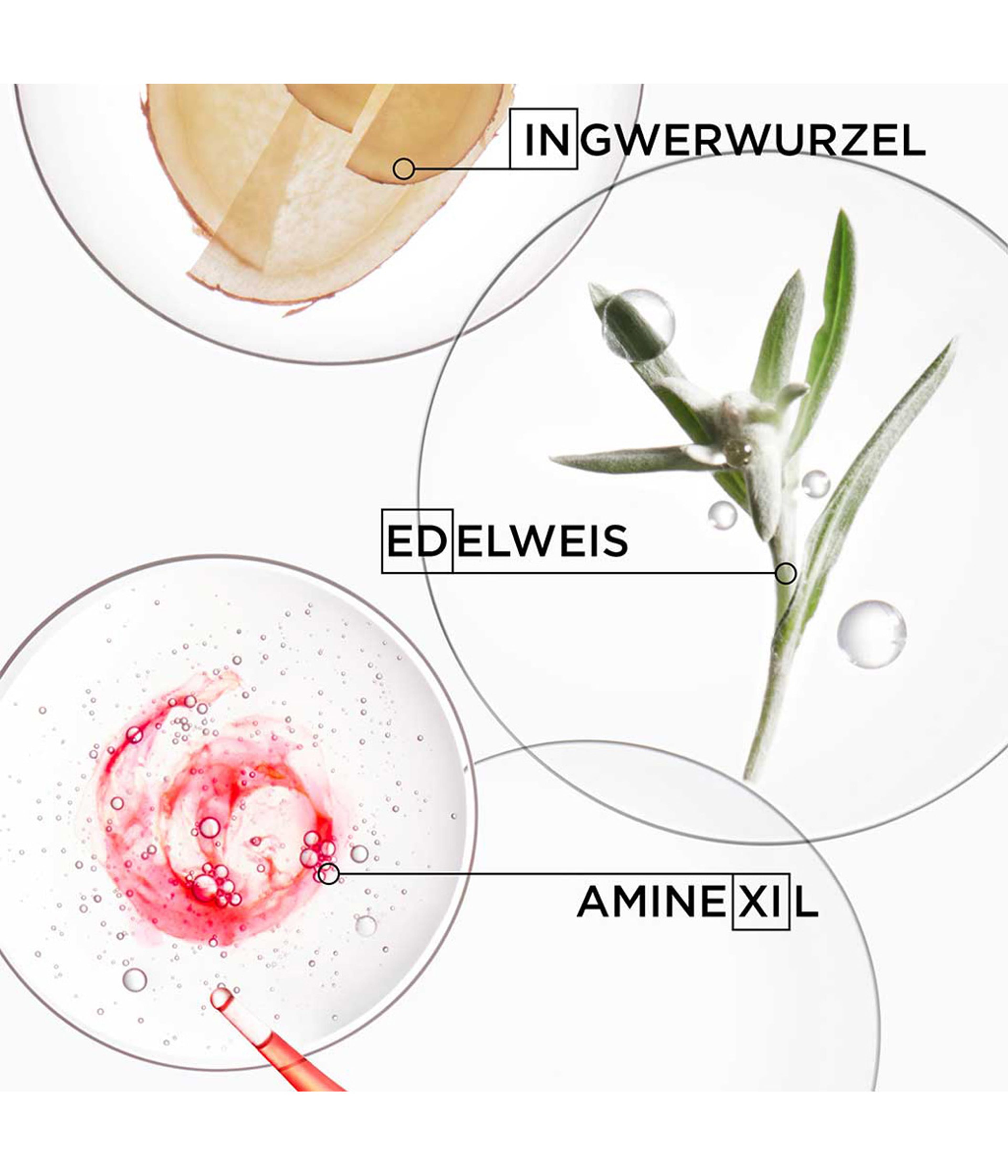 Produktbild 6 von 6, Kérastase Genesis Haarserum